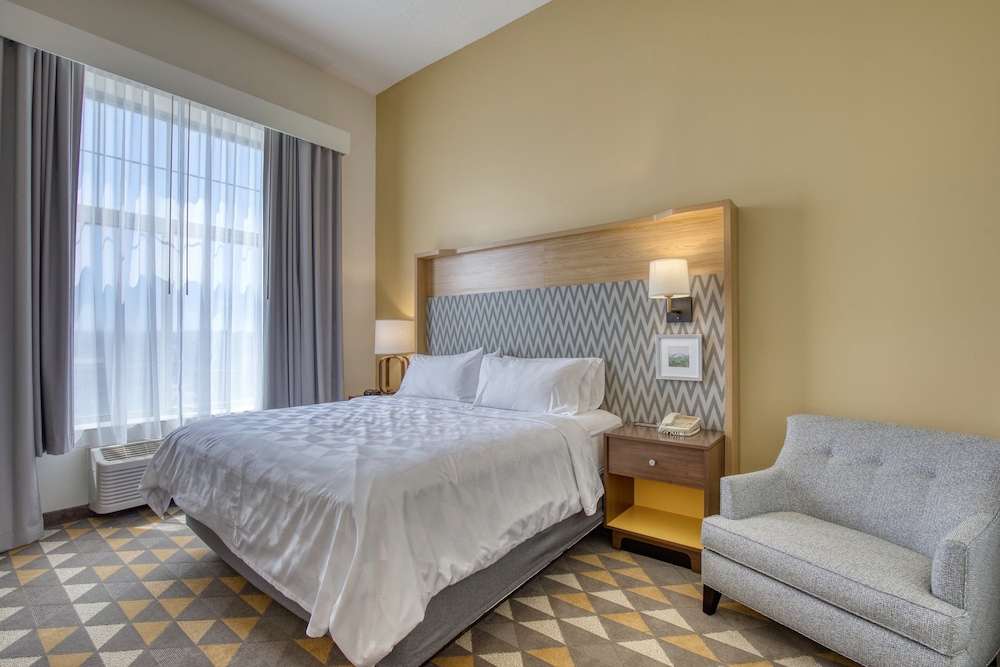Standard Room, 1 King Bed, Accessible (Communications) - Photo 4