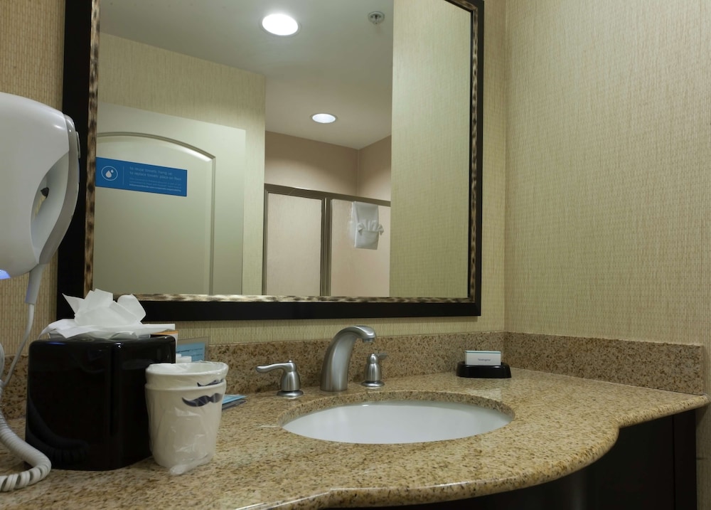 Room, 1 King Bed, Non Smoking, Jetted Tub photo 3
