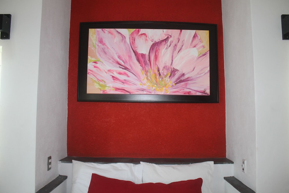 Superior Single Room photo 3