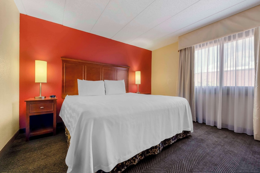 Suite, 1 King Bed, Non Smoking, Refrigerator & Microwave (with Sofabed) - Photo 1