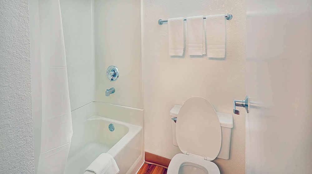 Standard Suite, 1 King Bed, Non Smoking, Refrigerator & Microwave - Photo 5