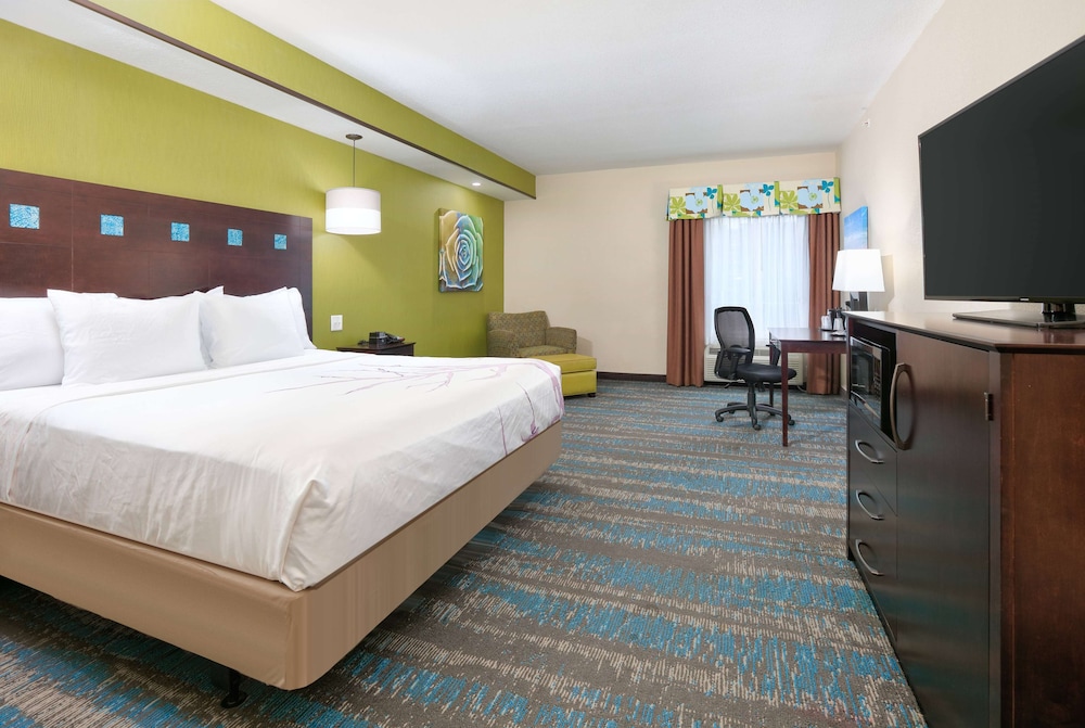 Room, 1 King Bed, Accessible, Non Smoking (Mobility,Hearing,Tub w/Grab Bars) - Photo 5