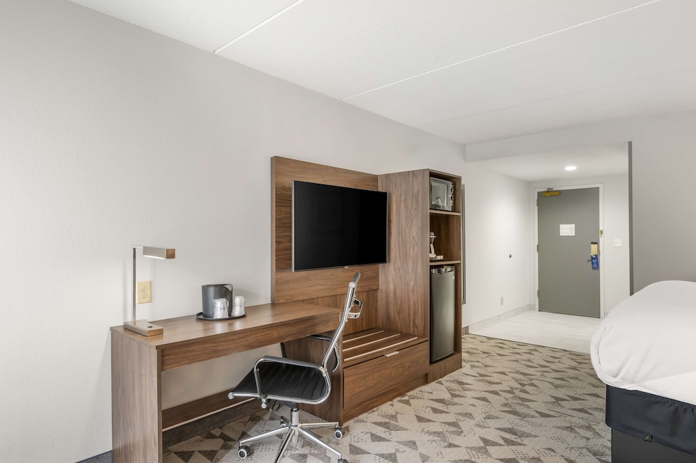 Suite, 1 King Bed, Non Smoking (Larger Room;with Sofabed) photo 3