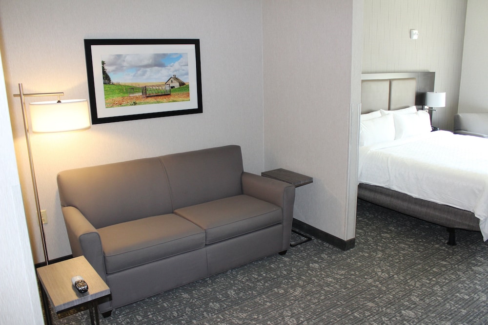 Suite, 1 King Bed - Photo 1