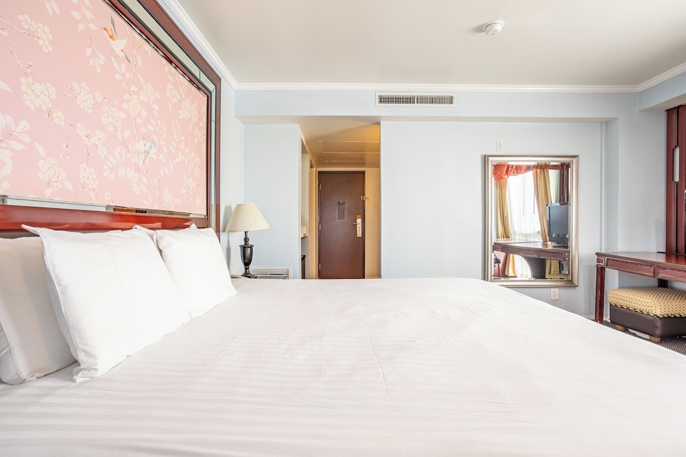 Single Room, 1 King Bed