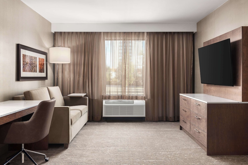 Suite, 1 King Bed - Photo 1