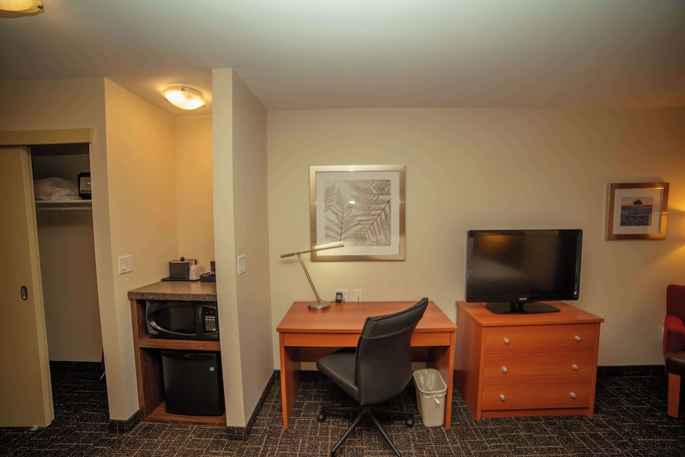 Standard Room, 1 King Bed, Non Smoking photo 3