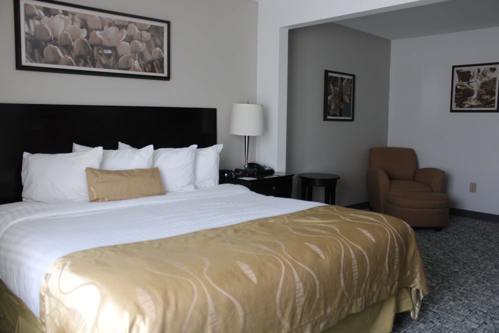 Deluxe Studio Suite, 1 King Bed, Non Smoking - Photo 2