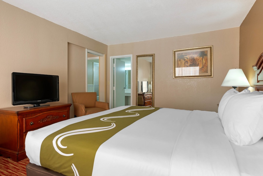 Poolside Room, 1 King Bed photo 3