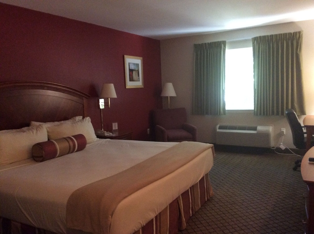 Basic Single Room photo 2