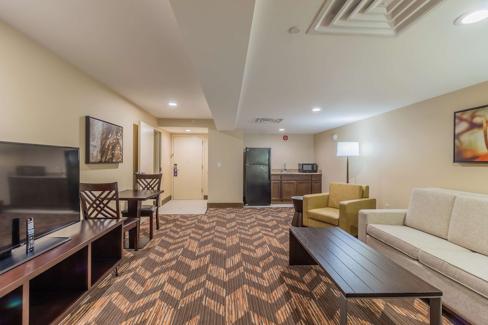 Suite, 1 King Bed, Non Smoking photo 3