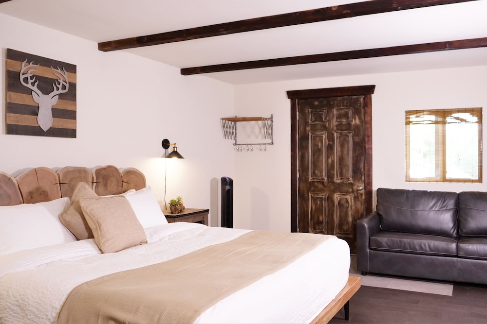 Room, 1 King Bed with Sofa bed photo 1