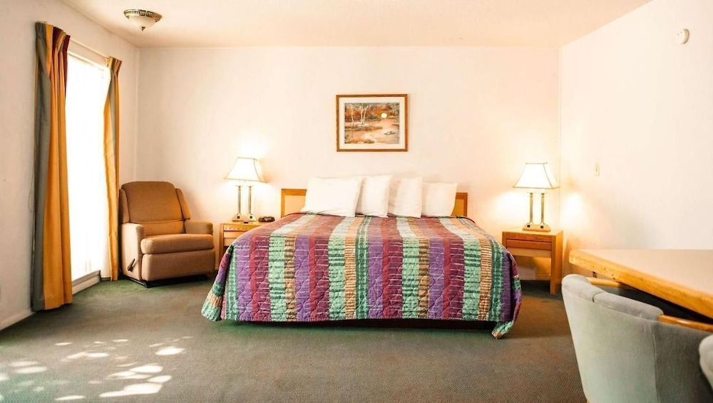 Comfort Single Room, 1 King Bed, Non Smoking photo 1