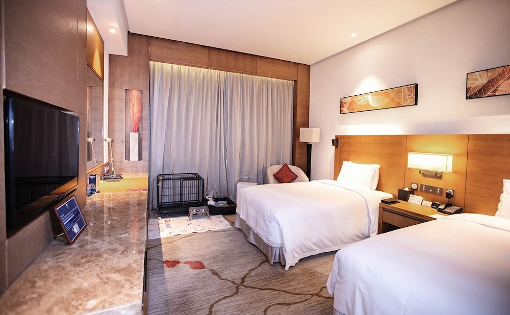 Room, 2 Twin Beds (Pet-Friendly) photo 3