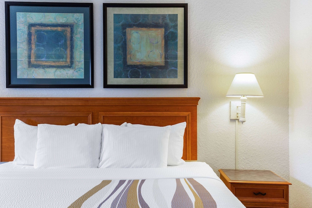 Deluxe Room, 1 King Bed, Accessible, Courtyard View photo 1
