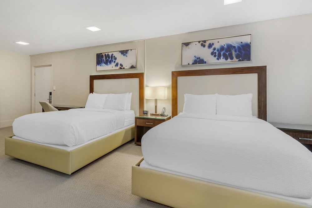 2 Double Bed Efficiency Suite photo 1