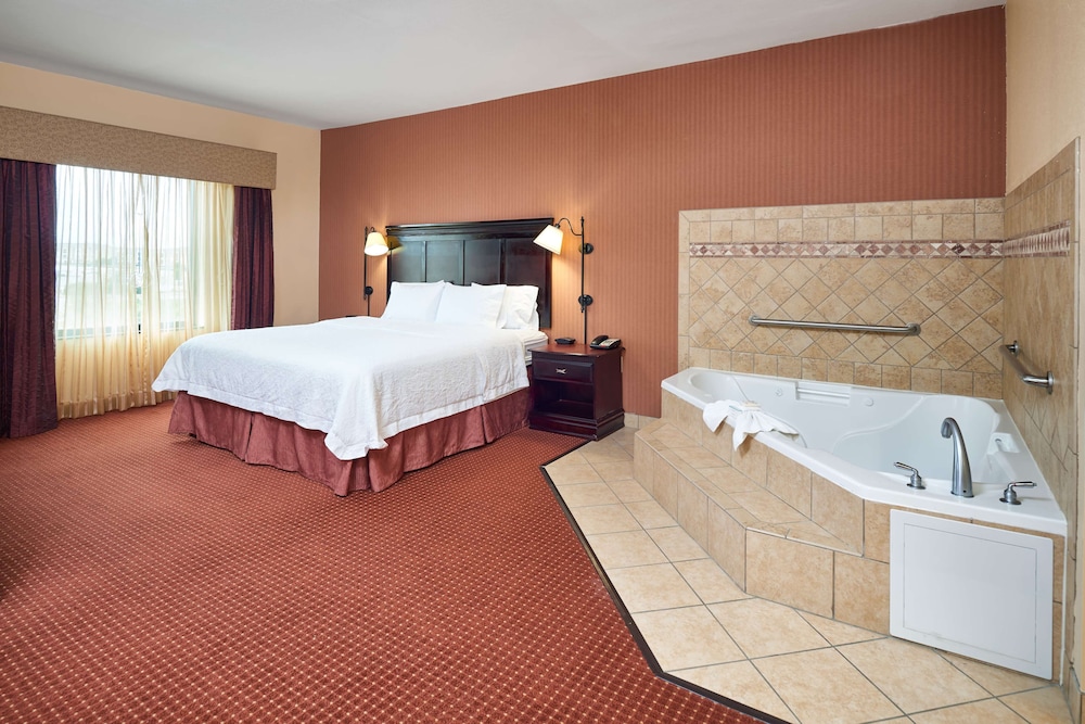 Suite, 1 King Bed, Non Smoking - Photo 5