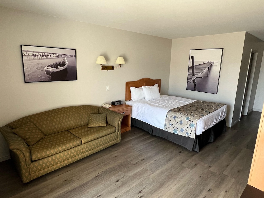 Mon Joli Motel, Billede 2