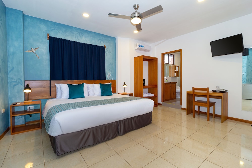 Superior Single Room photo 3