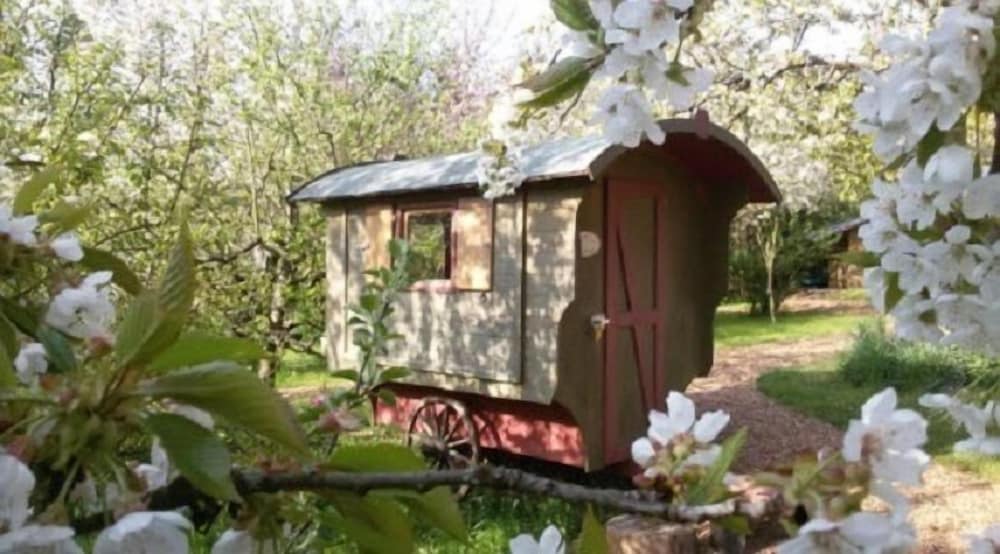 Mobile Home (1) photo 1