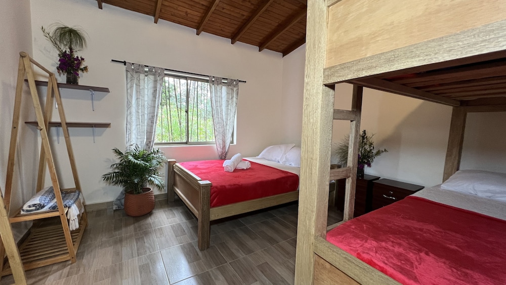 Family Room, Multiple Beds