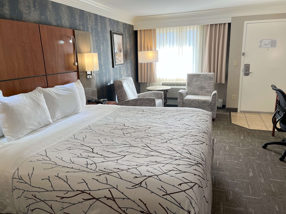 Standard Room, 1 King Bed, Non Smoking, Microwave