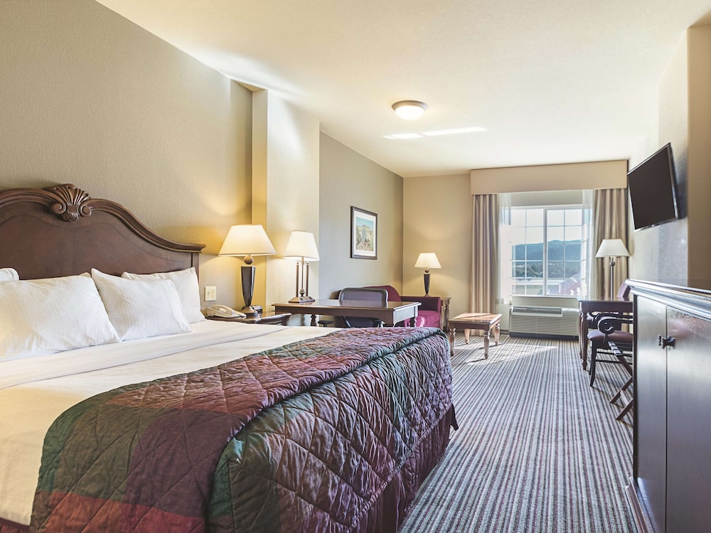 Deluxe Suite, 1 King Bed, Non Smoking photo 1