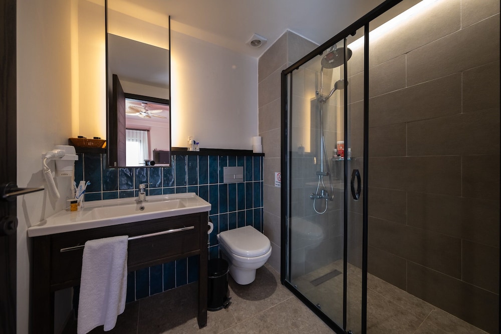 Premium Double or Twin Room photo 2