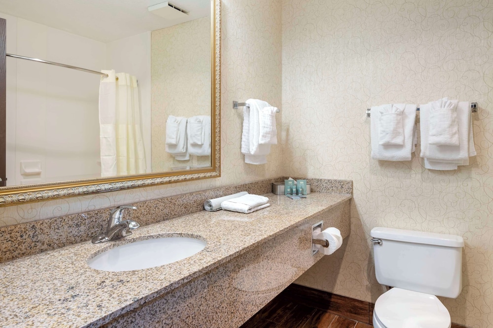 Standard Room, 2 Double Beds, Non Smoking, Refrigerator & Microwave (Walk-in Shower) - Photo 5