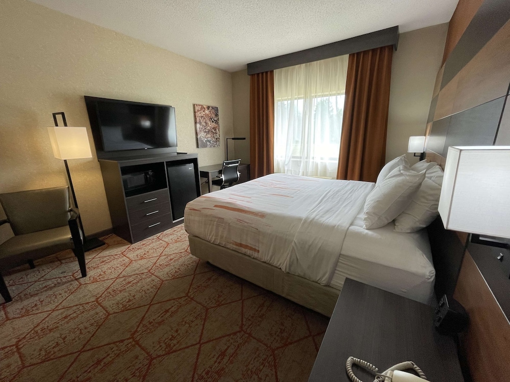 Standard Room, 1 King Bed, Non Smoking, Kitchenette - Photo 4