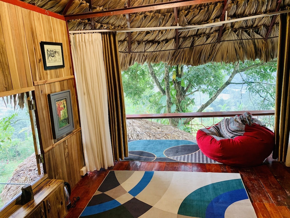 Standard Tree House photo 1