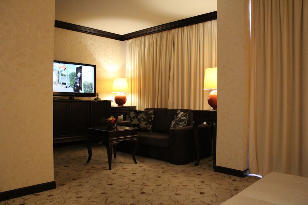 Deluxe Double Room Single Use photo 2