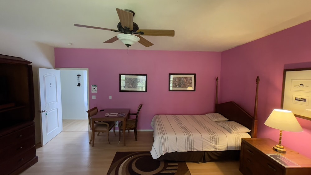 Room (Ginger) - Photo 5