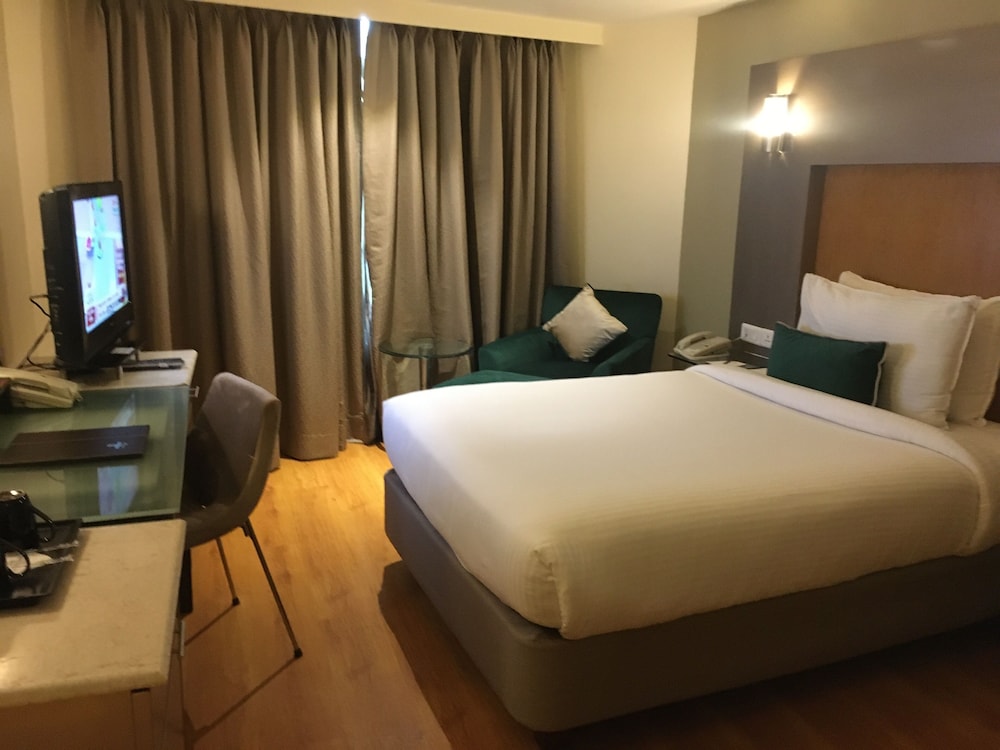 Studio Single Bed photo 1