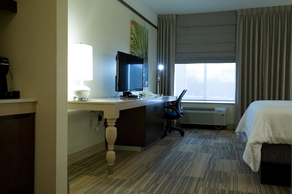 Evolution, Room, 1 King Bed
