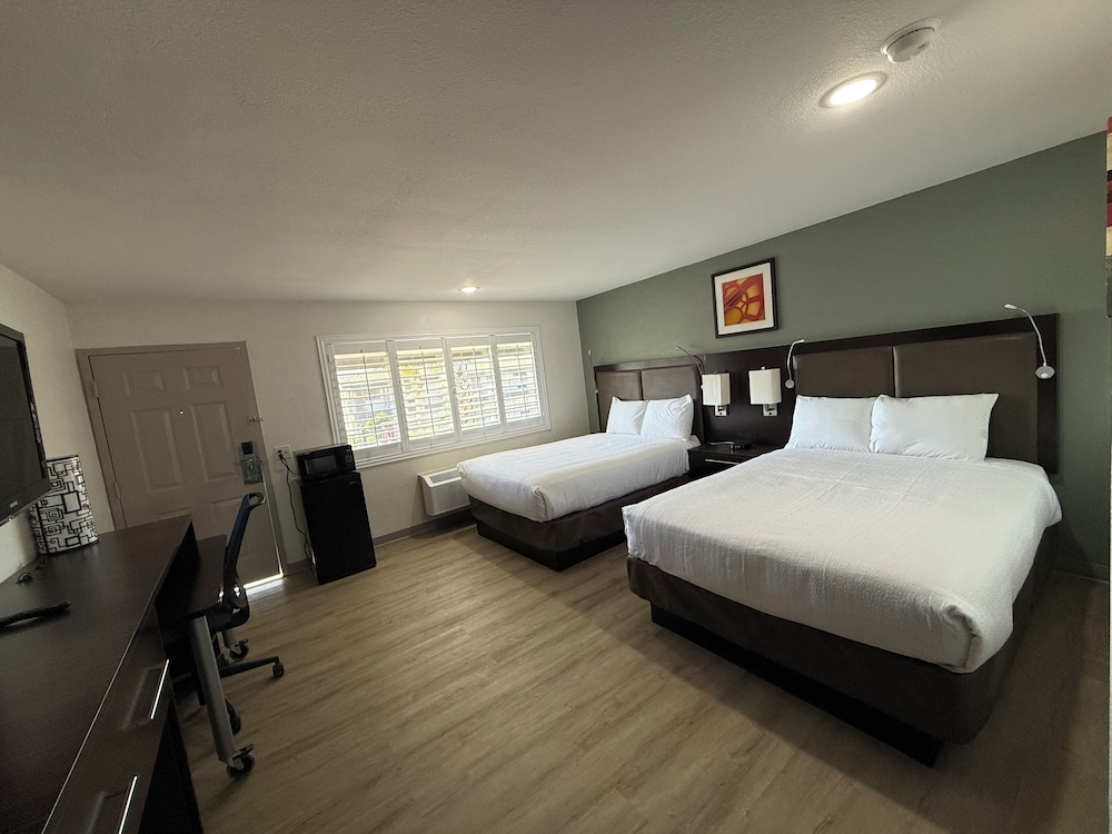 2 Double Beds photo 2