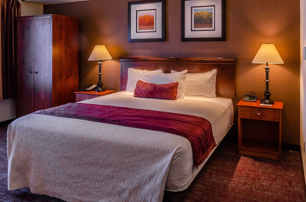 Presidential Suite, 1 King Bed photo 1