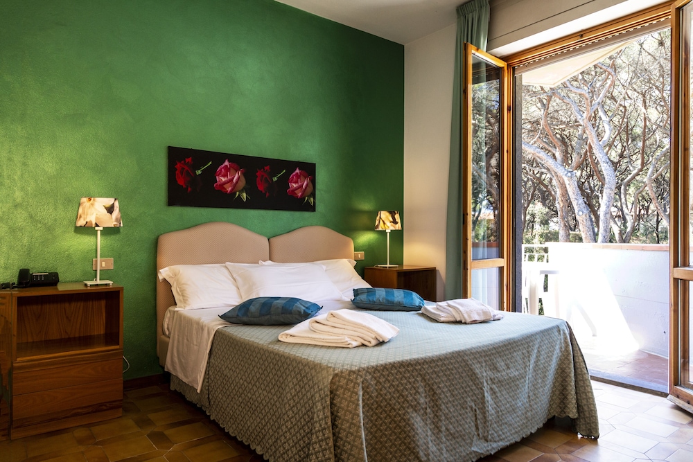 Superior Double Or Twin Room, Terrace