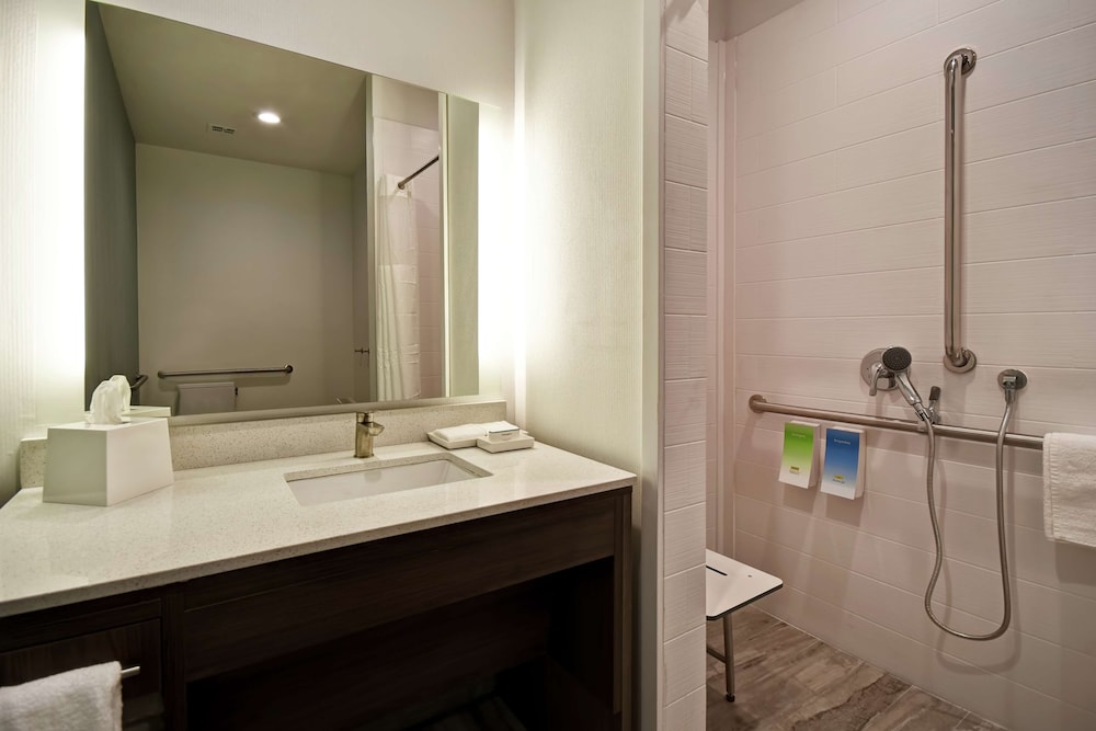 Suite, 1 King Bed, Accessible (Roll-In Shower, Mobility & Hearing)