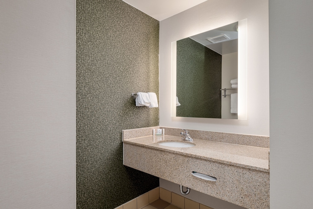 Room, 1 King Bed (Mobility/Hearing Access, Roll-In Shwr) - Photo 4