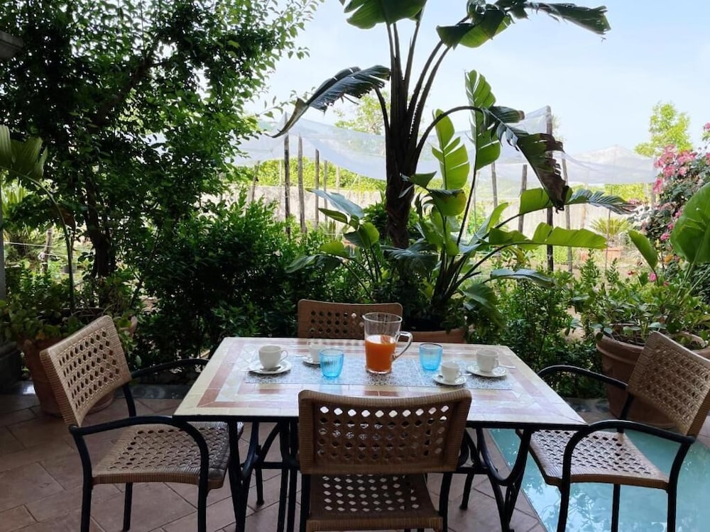 Superior Apartment, Patio