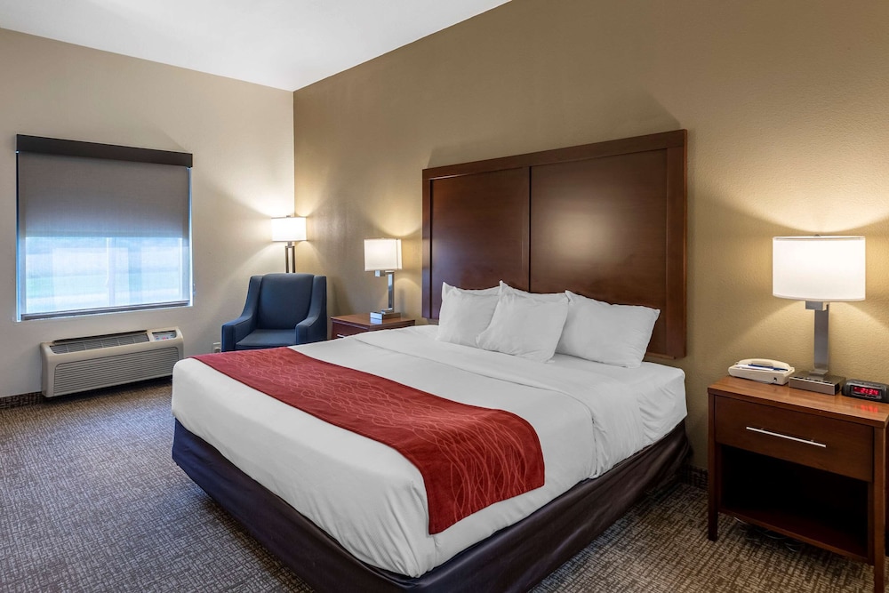 Standard Room, 1 King Bed, Non Smoking - Photo 1