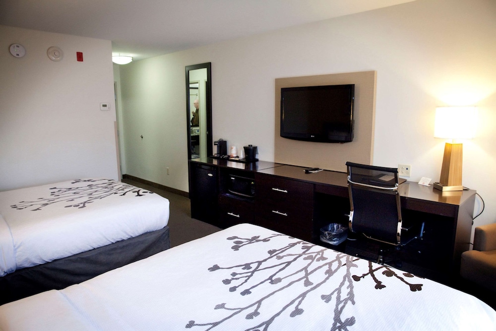 Room, 2 Queen Beds, Accessible, Non Smoking photo 1