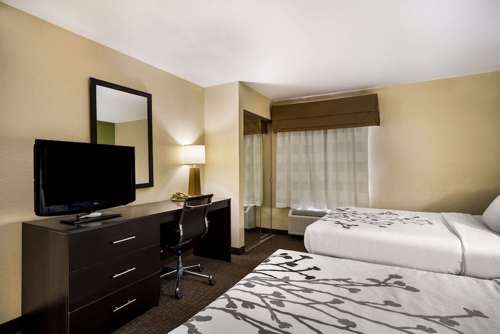 Suite - Photo 4