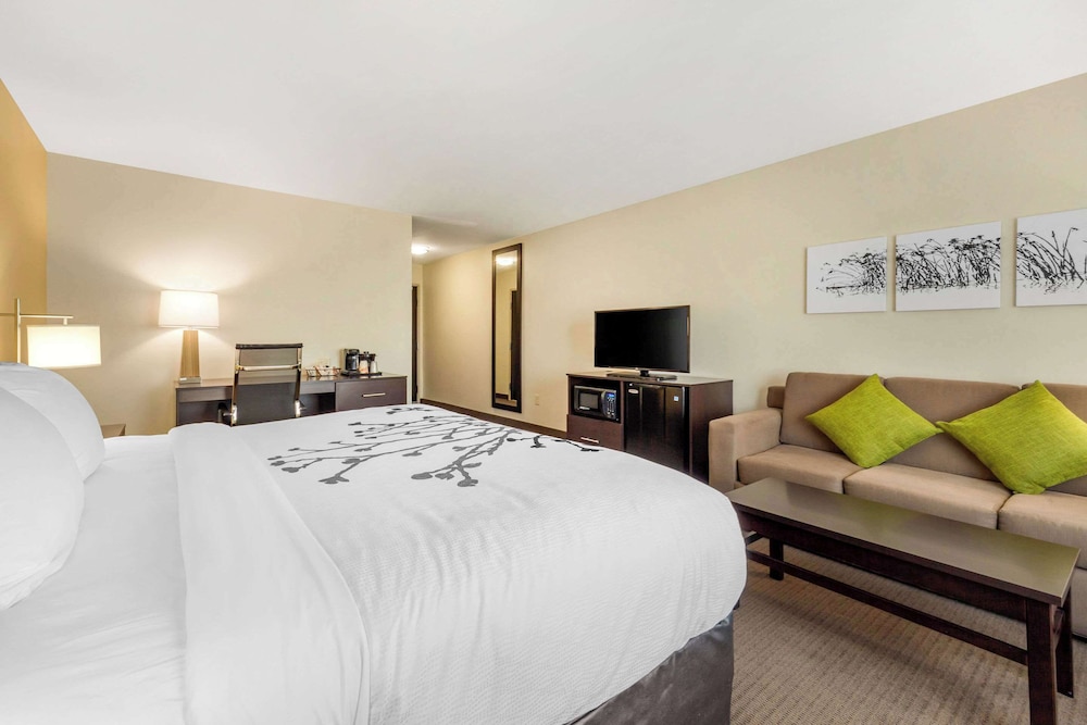 Suite, 1 King Bed with Sofa bed, Accessible, Non Smoking photo 3