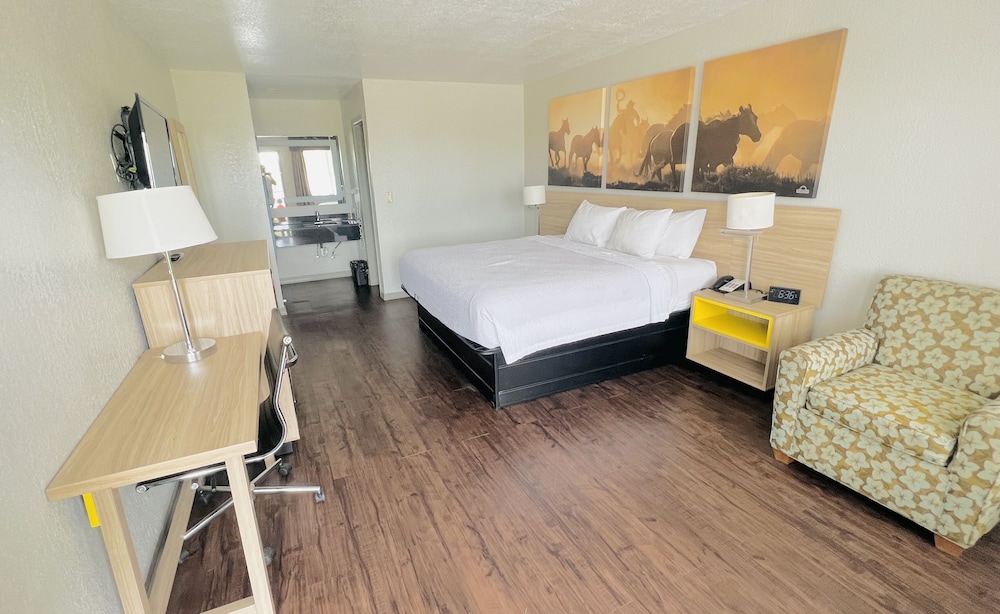 Deluxe Room, 1 King Bed, Non Smoking, Refrigerator & Microwave - Photo 1