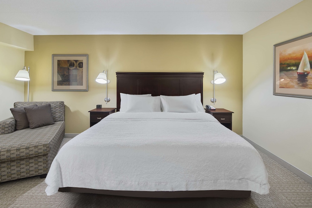 Room, 1 King Bed, Accessible (Roll-In Shower, Mobility & Hearing) - Photo 3