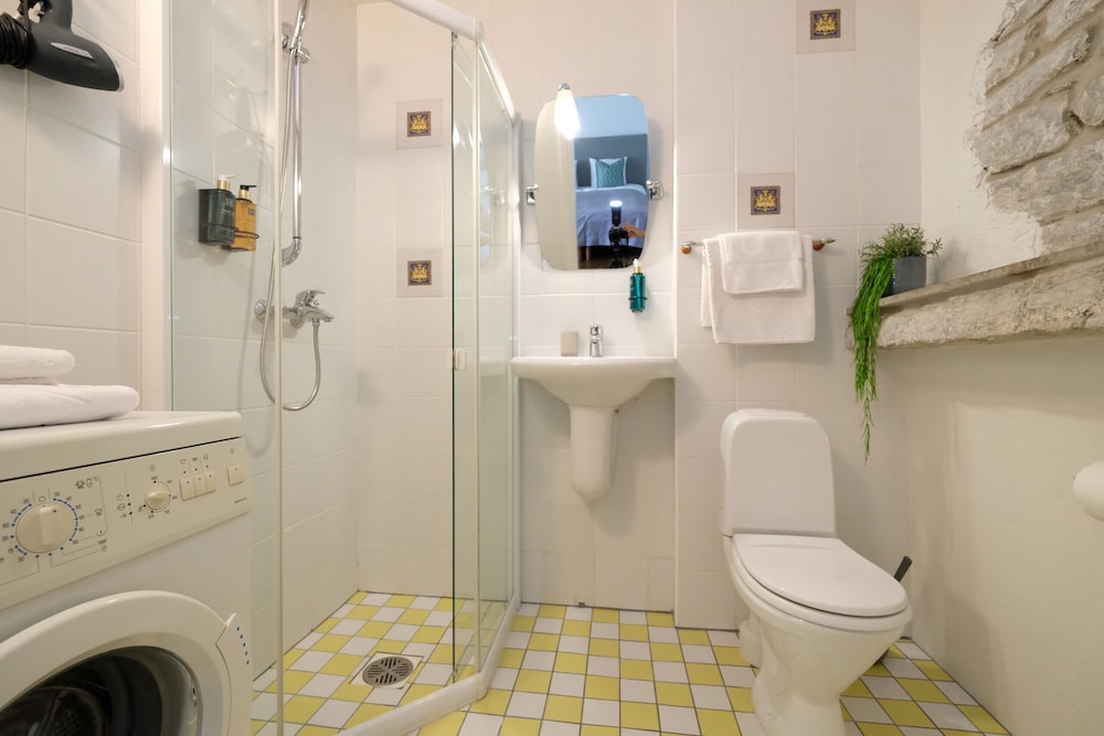 Apartment, 1 Bedroom, Kitchen photo 3