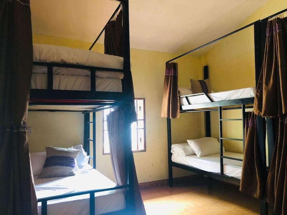 Standard Shared Dormitory photo 2