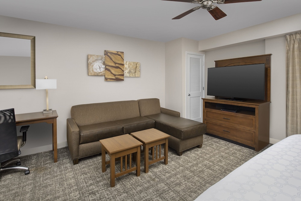 Studio Suite, 1 King Bed, Accessible Bathtub, Kitchen (Accessible Tub) - Photo 1